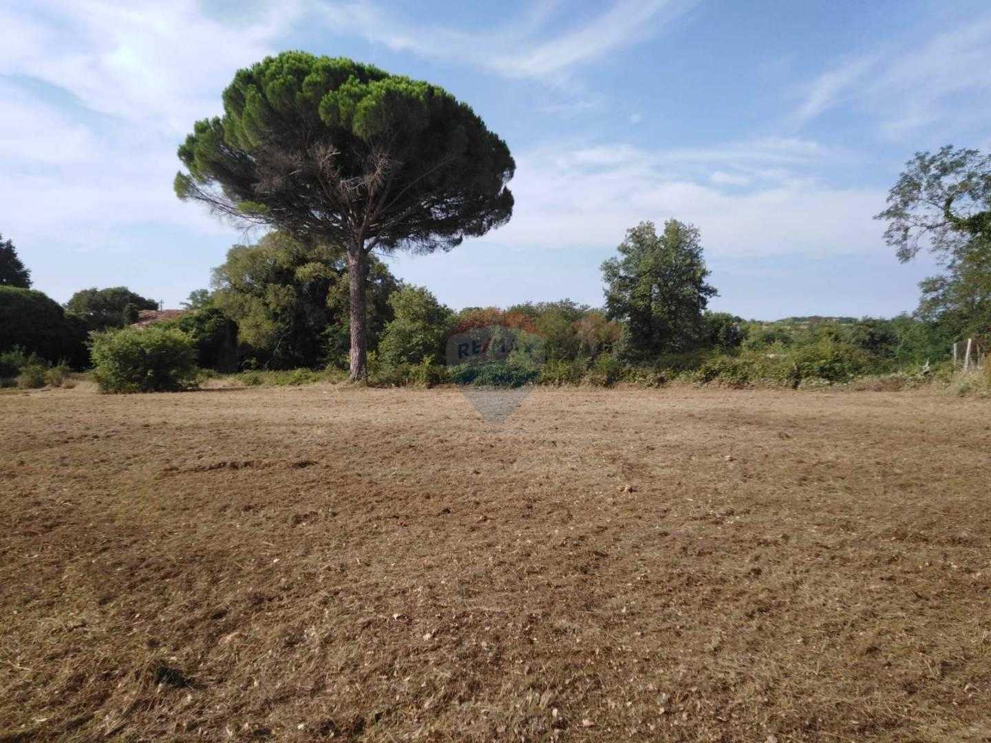 Γη σε Kastelir, Istarska Zupanija 12031554