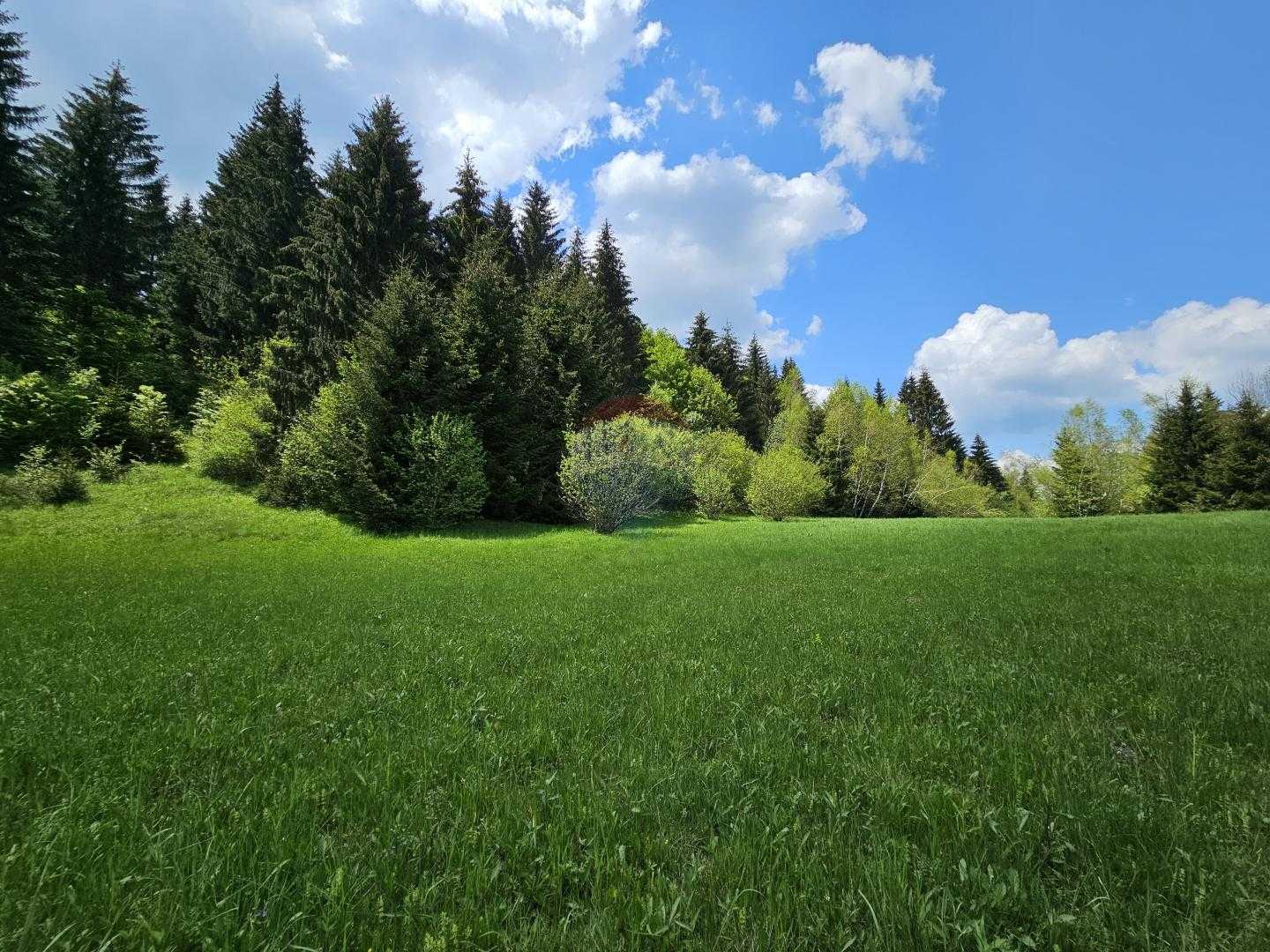 Γη σε Ravna Gora, Primorsko-Goranska Zupanija 12031713
