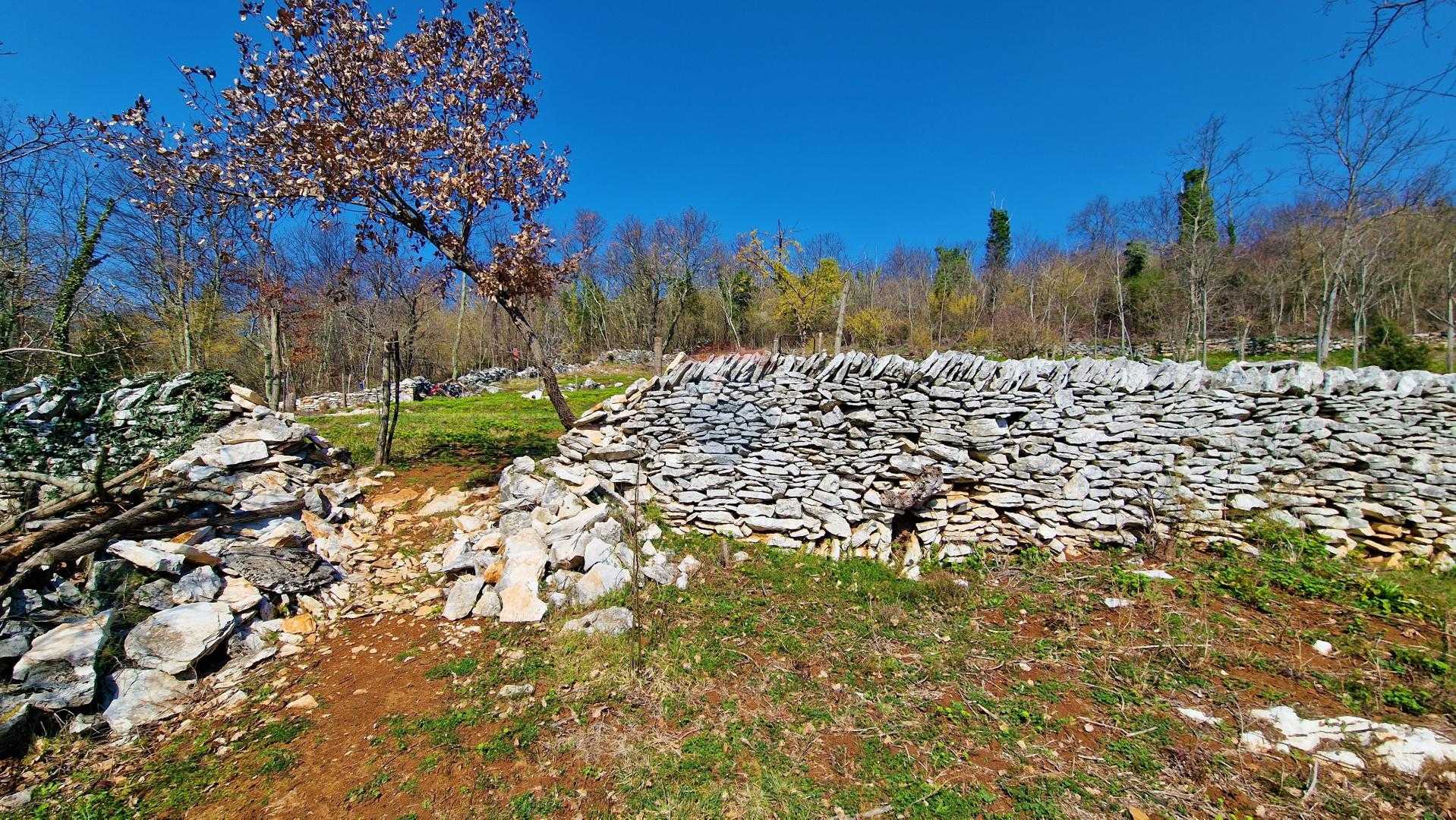 Land in Vizinada, Istarska Zupanija 12031918
