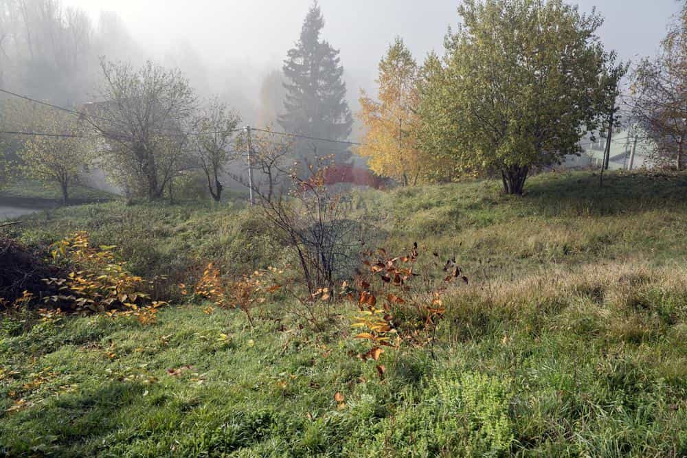 Land in Fuzine, Primorsko-Goranska Zupanija 12032787