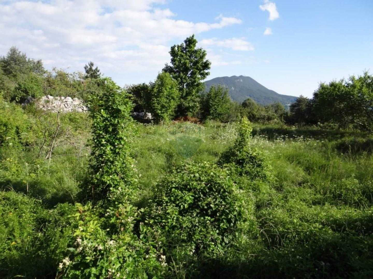 Land in Buzet, Istarska Zupanija 12032951