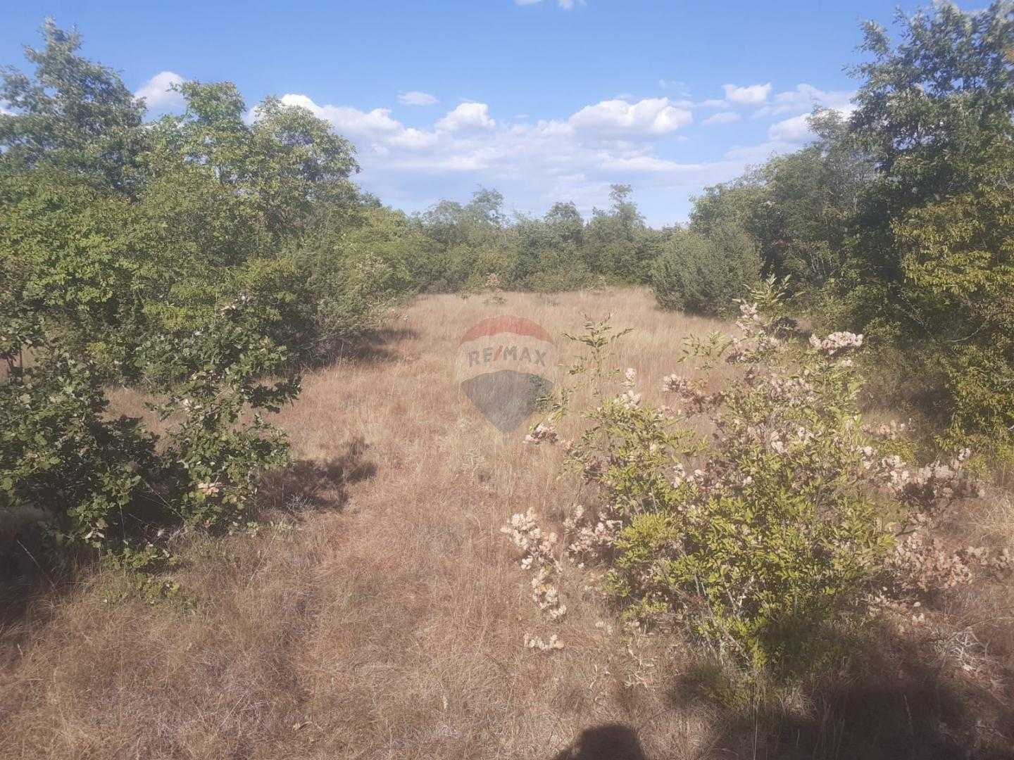 Земельные участки в Воднян, Истарска Зупания 12033518