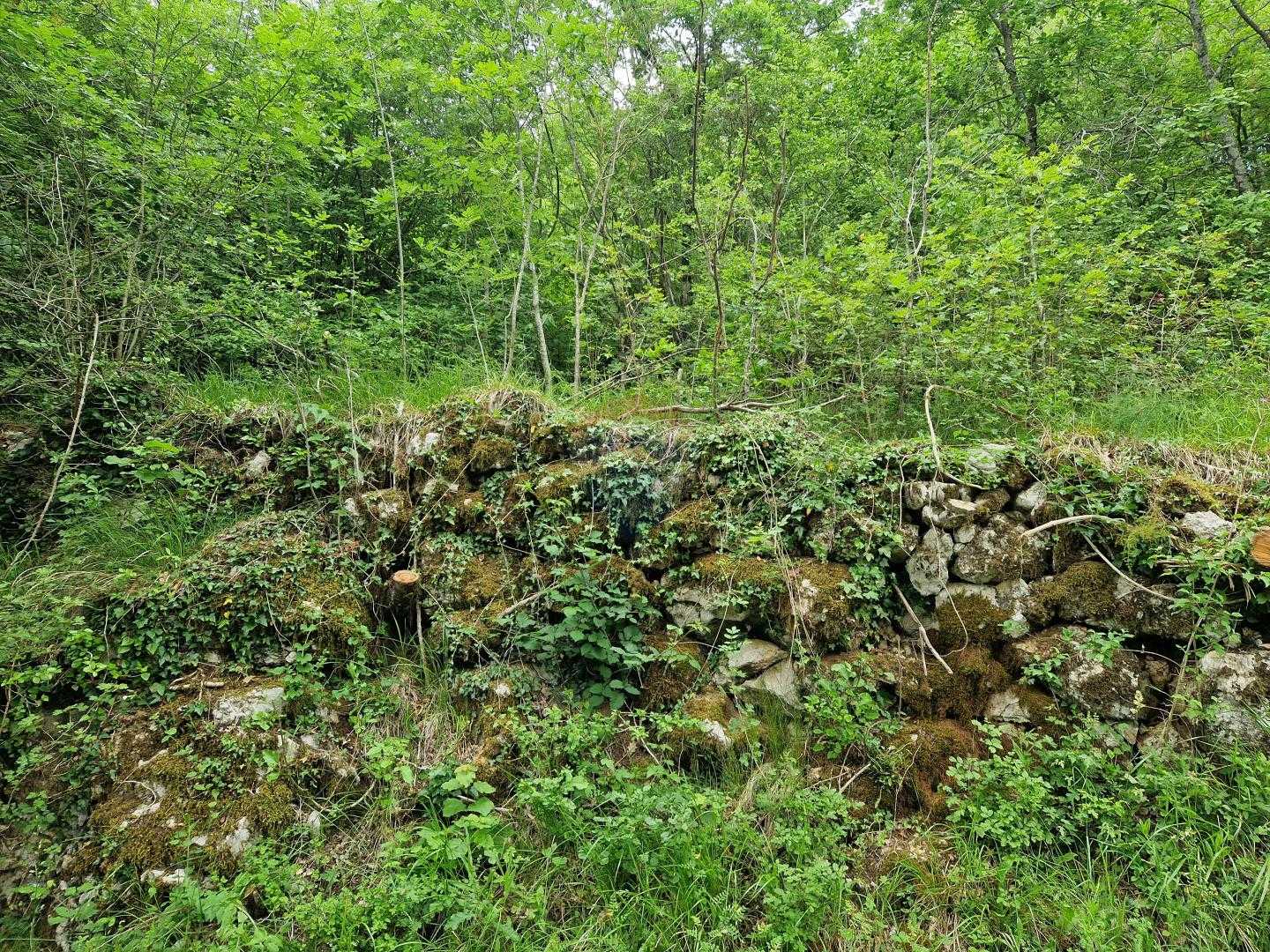Tanah dalam Icici, Primorsko-Goranska Zupanija 12033951