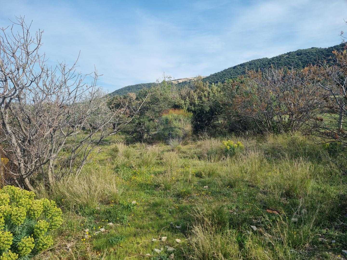 Land in Rab, Primorsko-Goranska Zupanija 12034086
