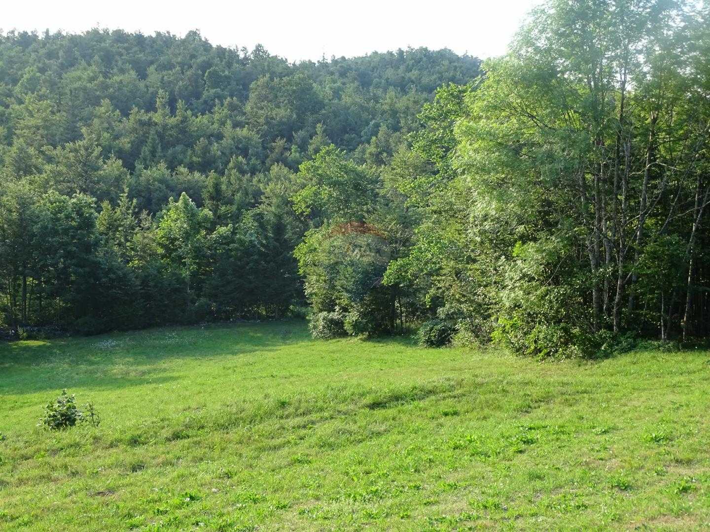 Tanah di Lokve, Primorsko-Goranska Zupanija 12035018