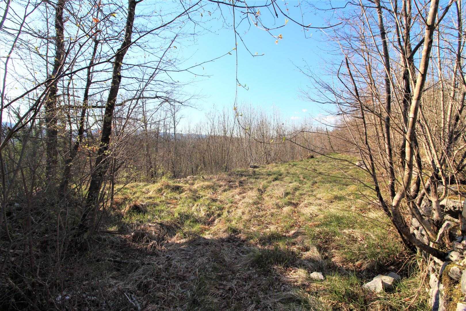 Tanah dalam Matulji, Primorsko-Goranska Zupanija 12035283