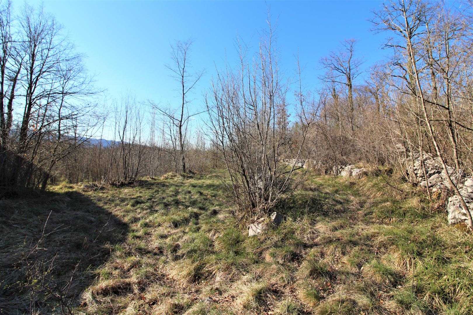 Tanah dalam Matulji, Primorsko-Goranska Zupanija 12035283