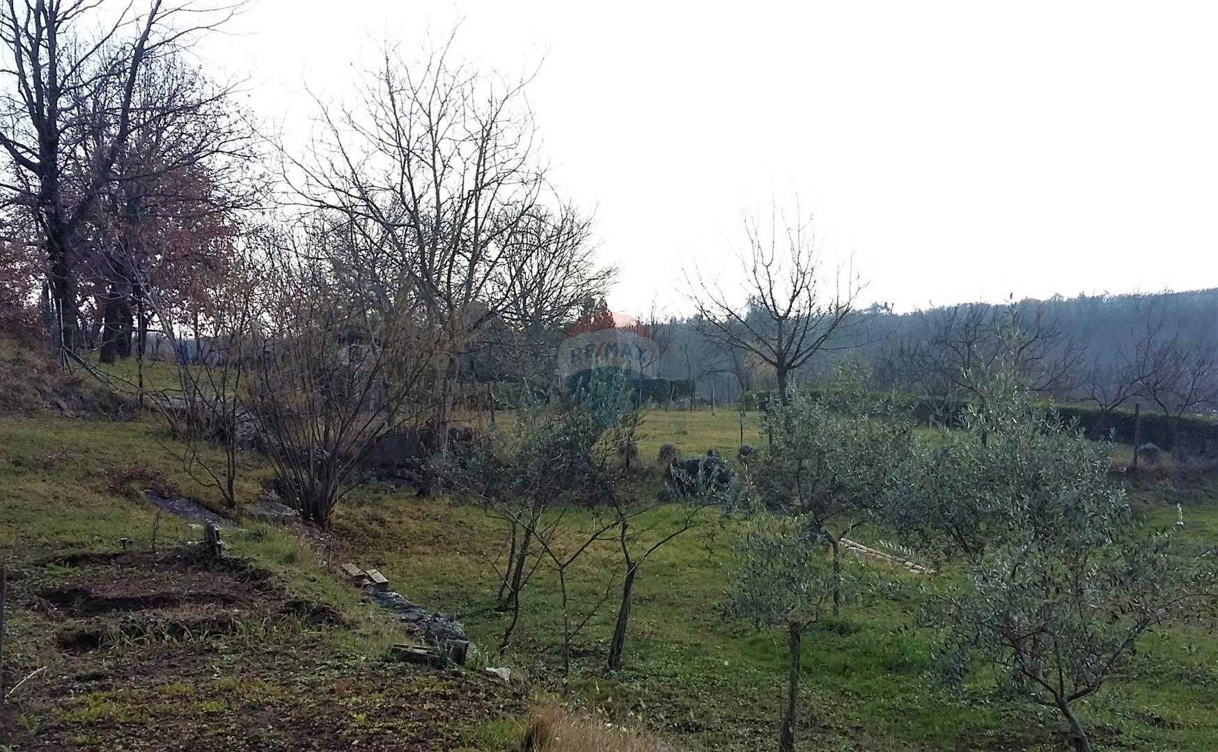 Land in Brtonigla, Istarska Zupanija 12035331