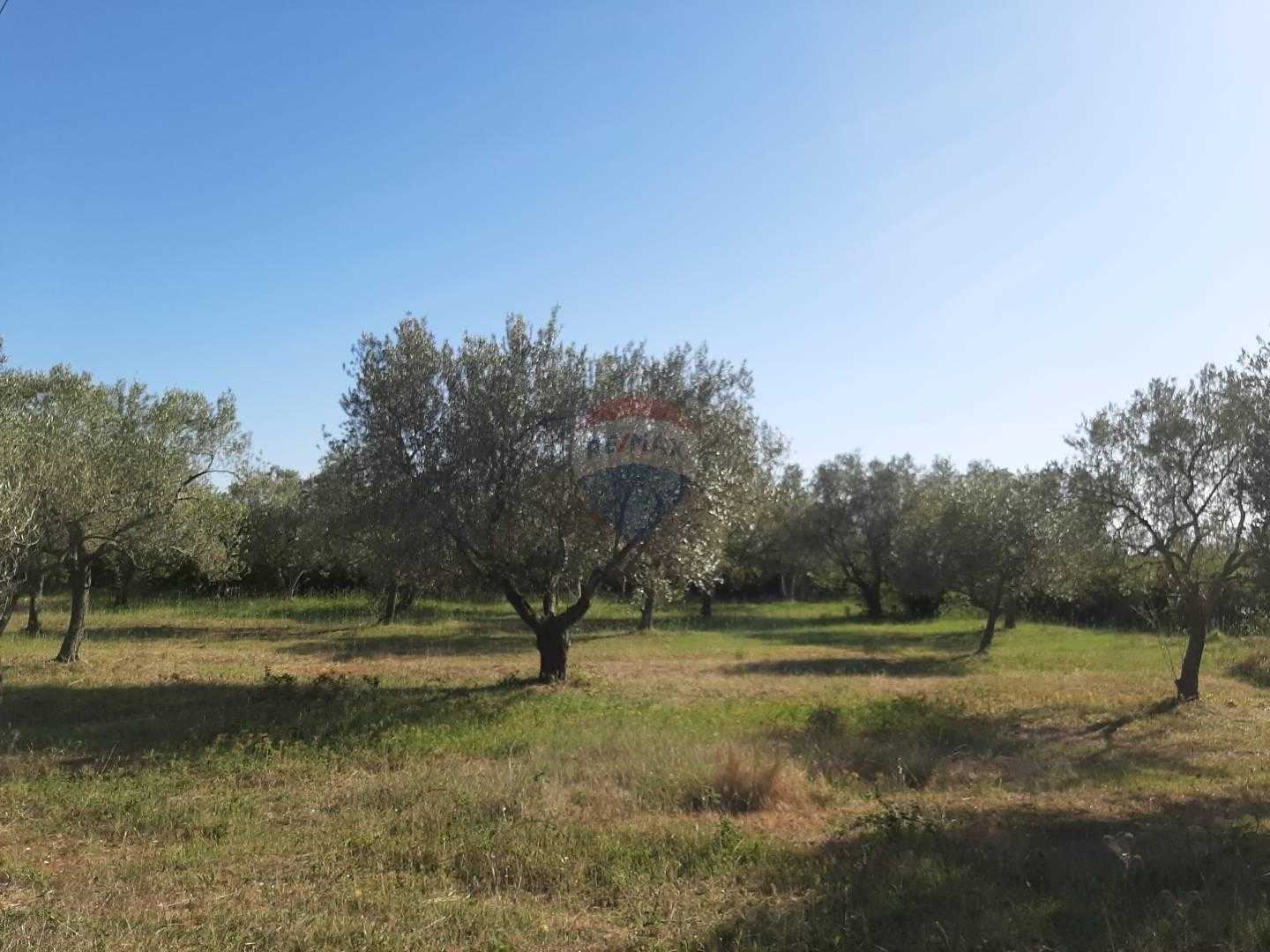 Land in Fazana, Istarska Zupanija 12035864