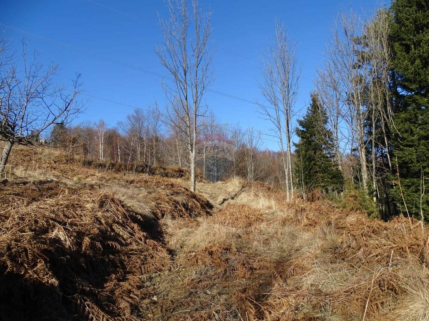 Tanah di Ravna Gora, Primorsko-goranska županija 12035967