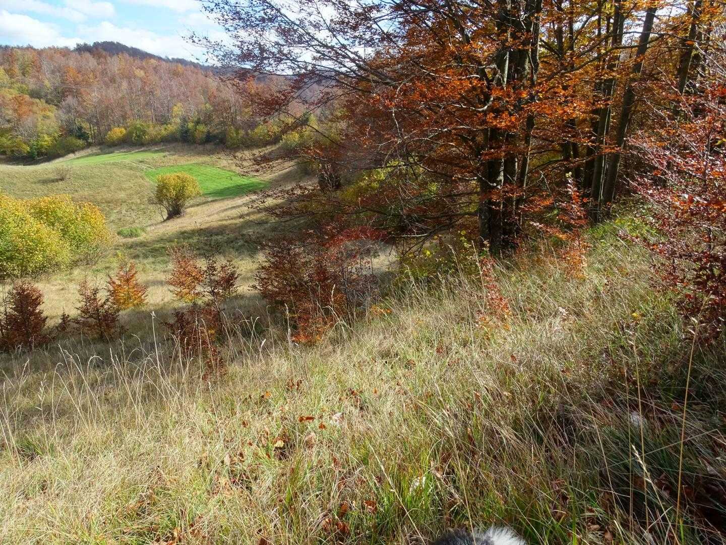 Tanah dalam Mrkopalj, Primorsko-Goranska Zupanija 12036133