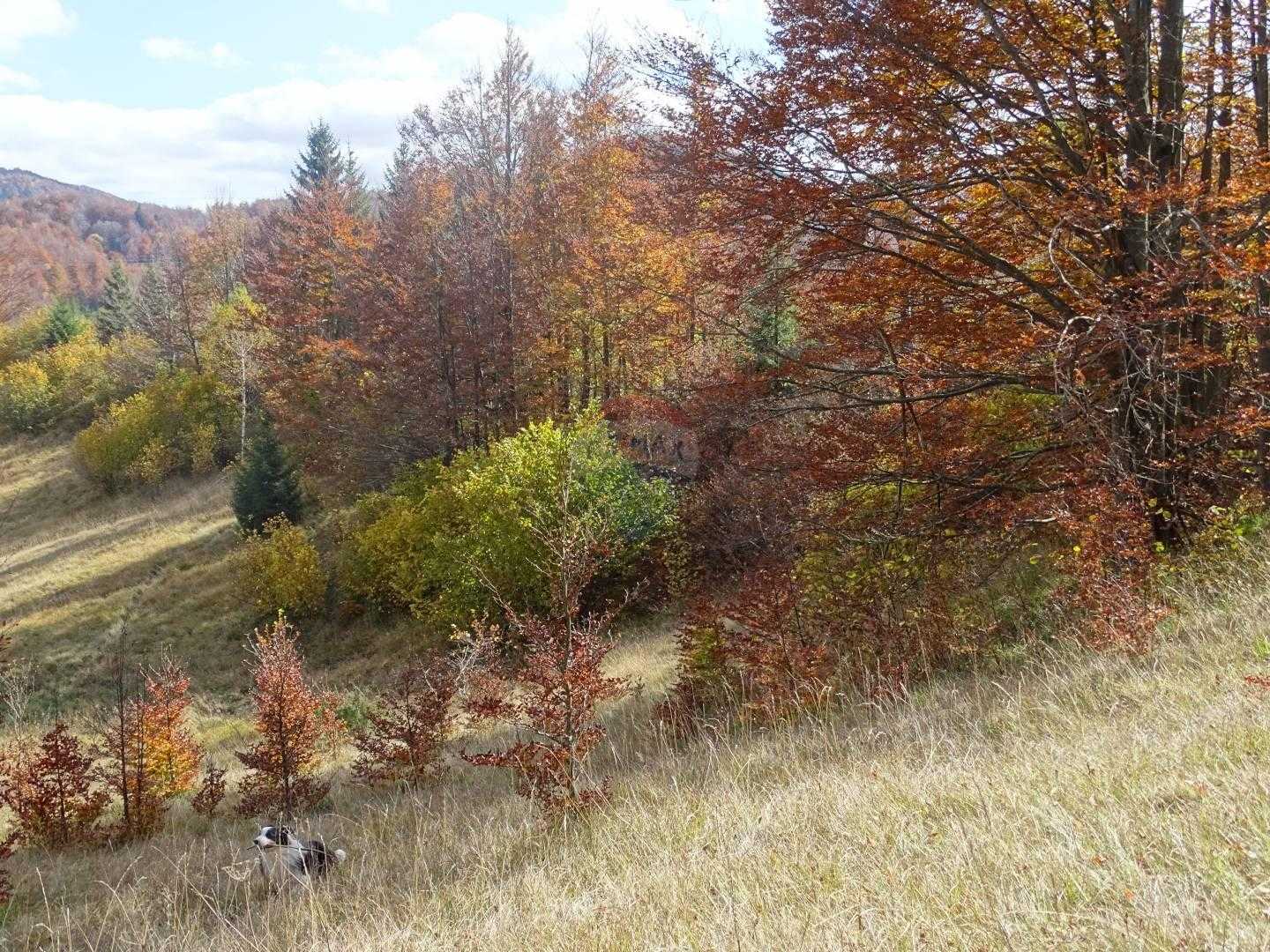 Tanah dalam Mrkopalj, Primorsko-Goranska Zupanija 12036133