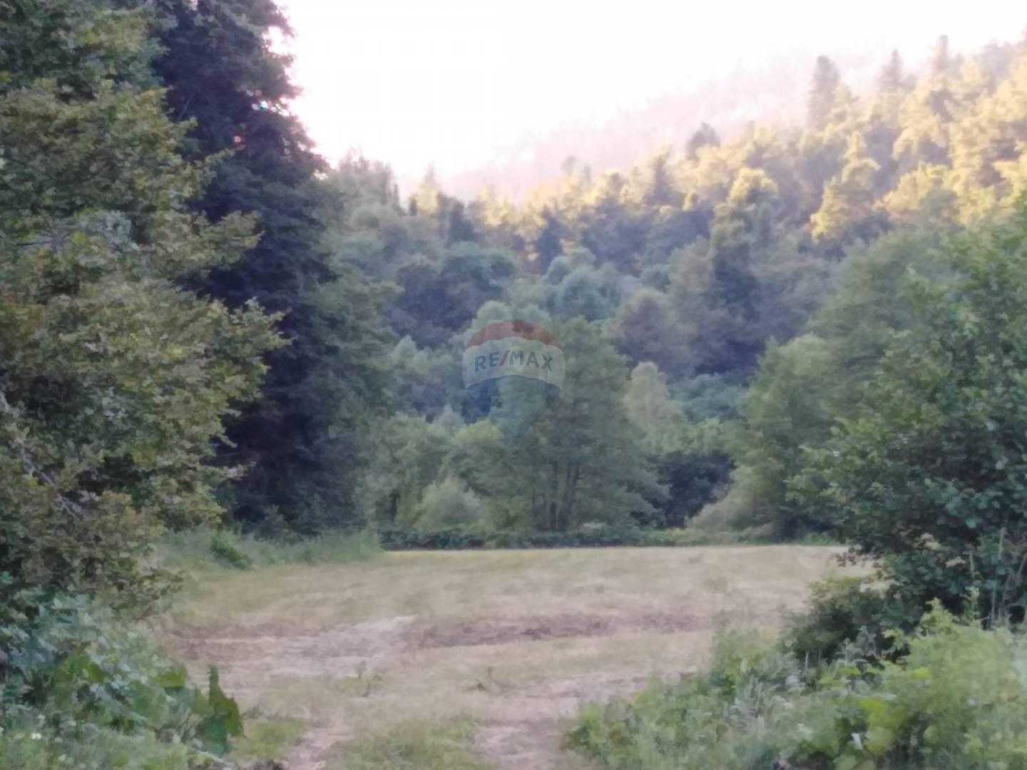 Terre dans Fuzine, Primorsko-Goranska Zupanija 12036209