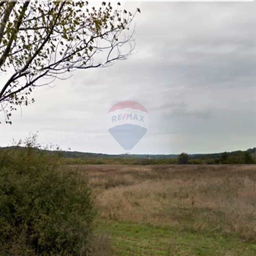 الأرض في سيبلجاني, استارسكا زوبانيجا 12036235