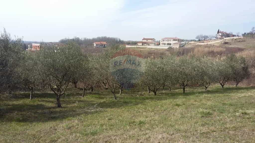 Tanah di Vizinada, Istarska Zupanija 12036304