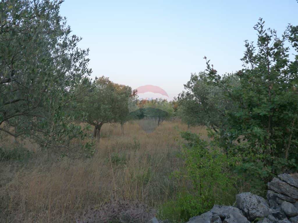 Tanah dalam Fazana, Istarska Zupanija 12036932