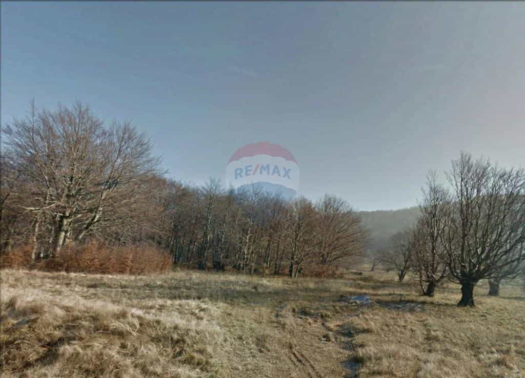 الأرض في جيلينجي, بريمورسكو-جورانسكا زوبانيجا 12037567