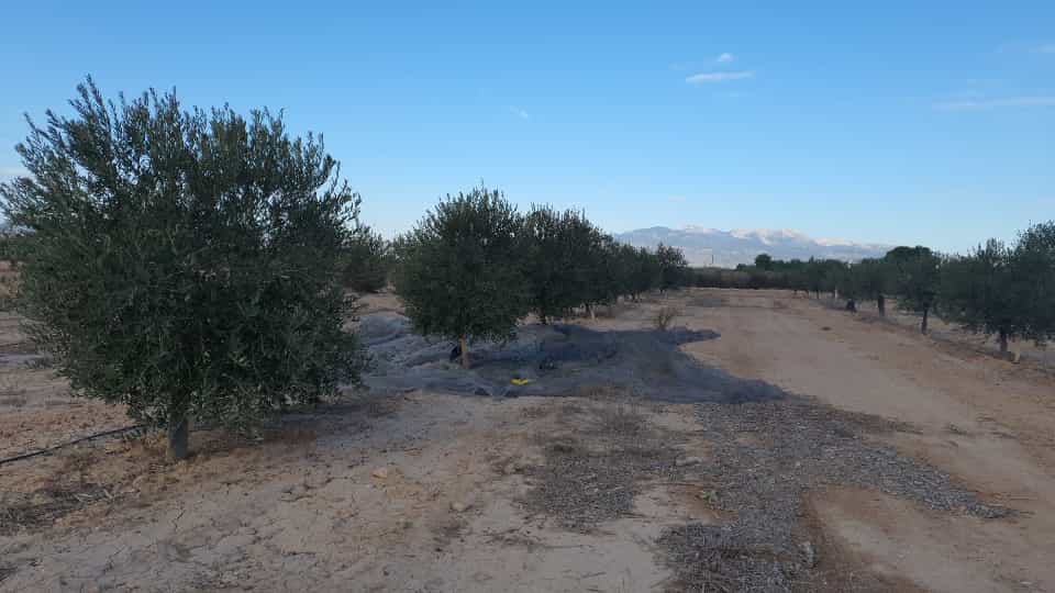 Земля в , Región de Murcia 12042363
