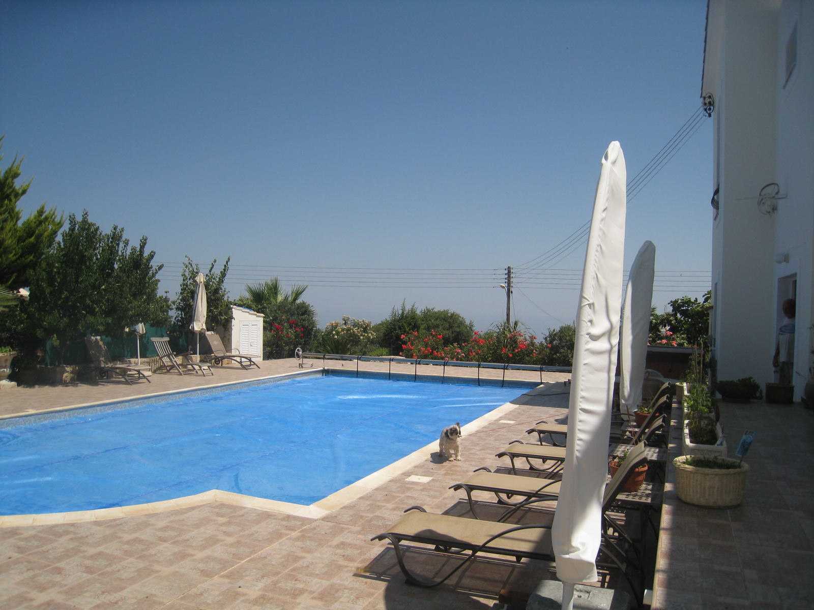 Huis in Paphos, Pafos 12046747