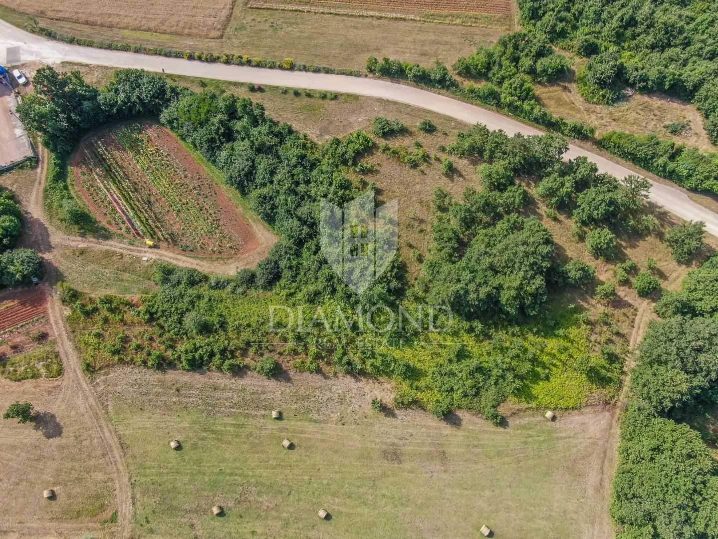 Γη σε Svetvincenat, Istarska Zupanija 12054000