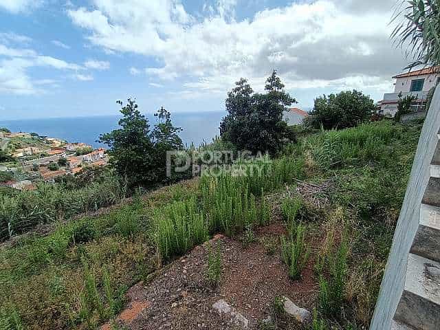Land i Funchal, Madeira 12054837
