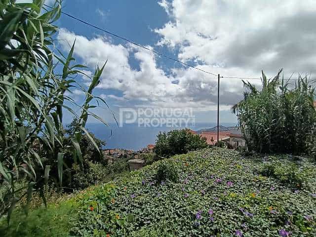 Land i Funchal, Madeira 12054837