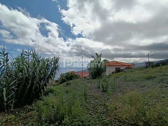 Land in Funchal, Madeira 12054837