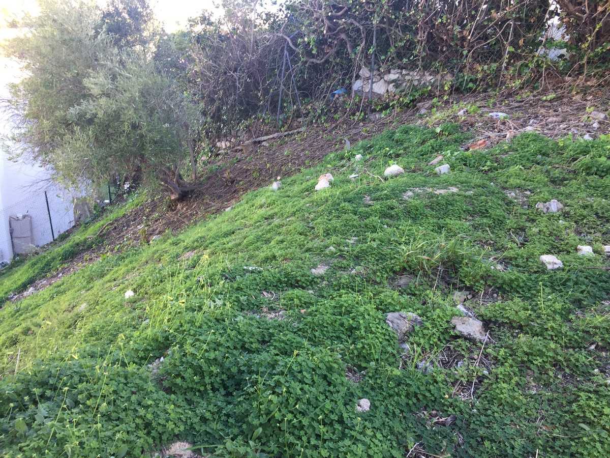 Land in Olias, Andalusia 12057277