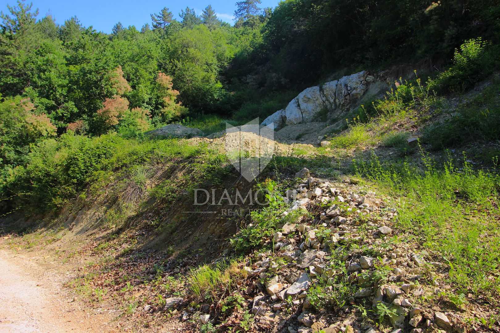 Land in Labin, Istria County 12081476