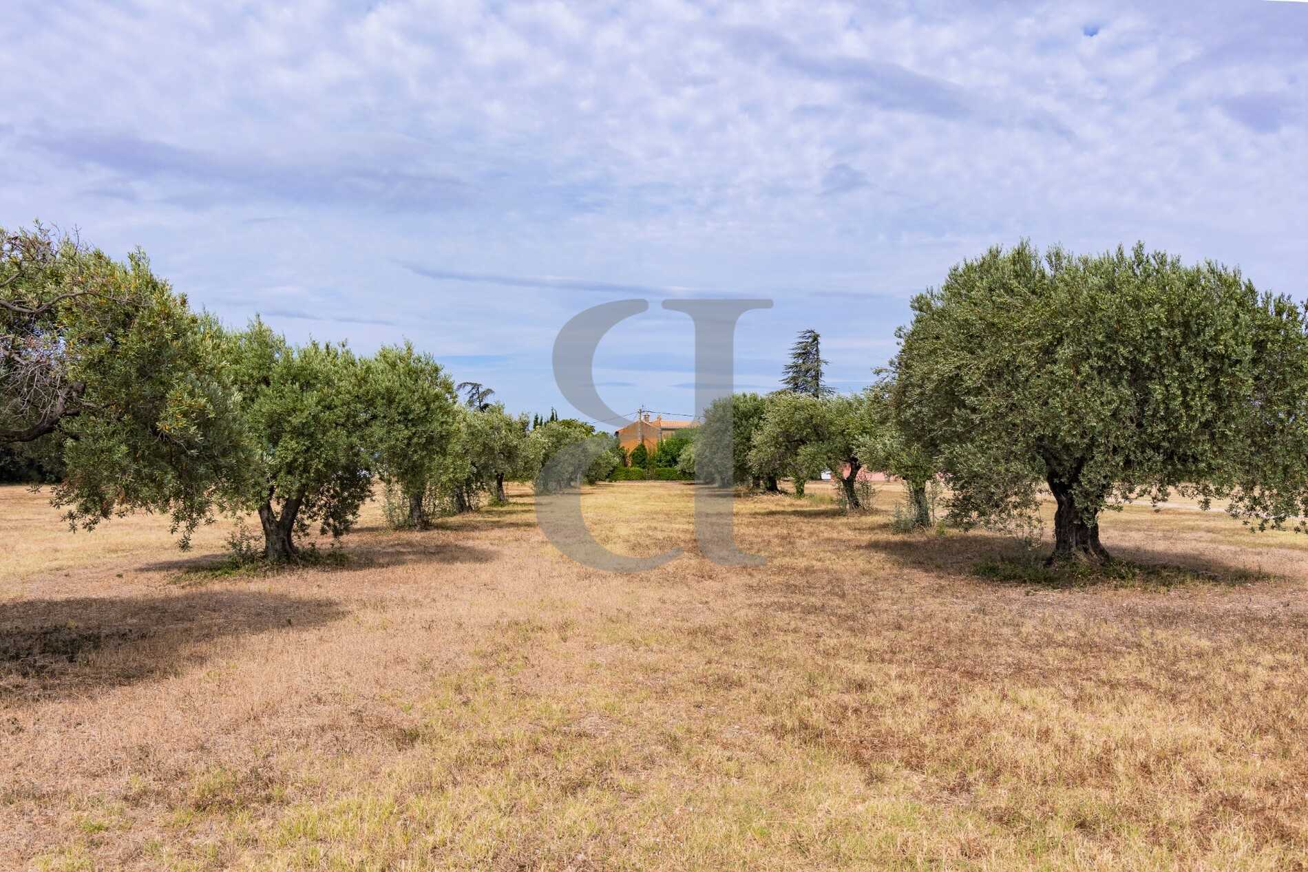 Hus i Sainte-Cécile-les-Vignes, Provence-Alpes-Côte d'Azur 12085050