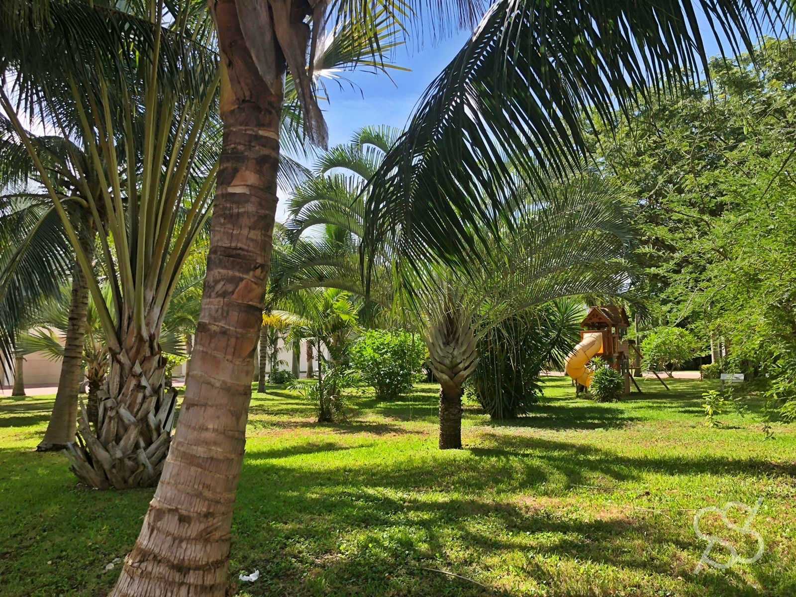 Tanah di Cancun, Quintana Roo 12086096