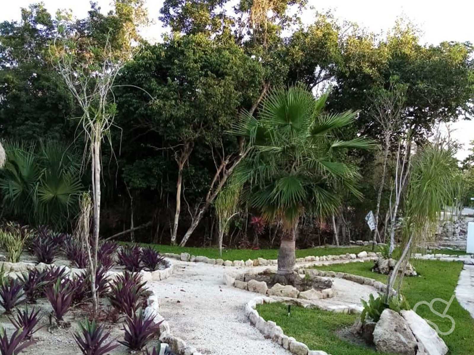 Land i Puerto Morelos, Quintana Roo 12086130
