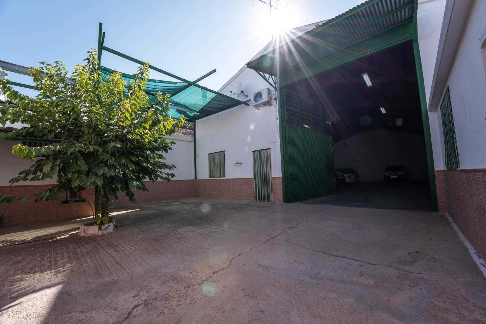 Przemysłowy w La Gineta, Kastylia-La Mancha 12086542