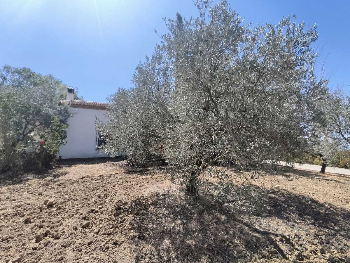 Huis in , Andalusia 12086842