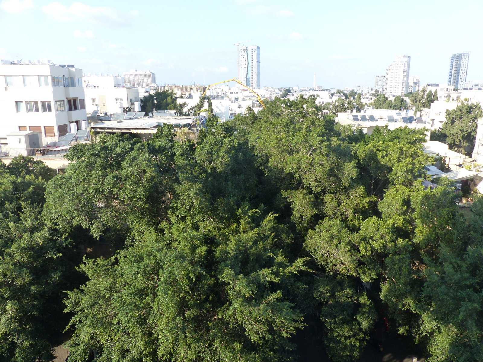 Condominium in Tel Aviv-Yafo, Frishman Street 12088491