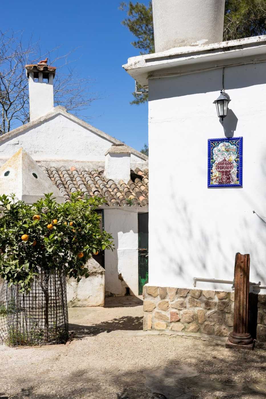 Будинок в Jimena de la Frontera, Andalucía 12094820