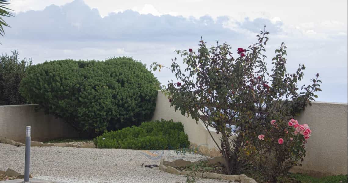 Hus i Drouseia, Paphos 12097224