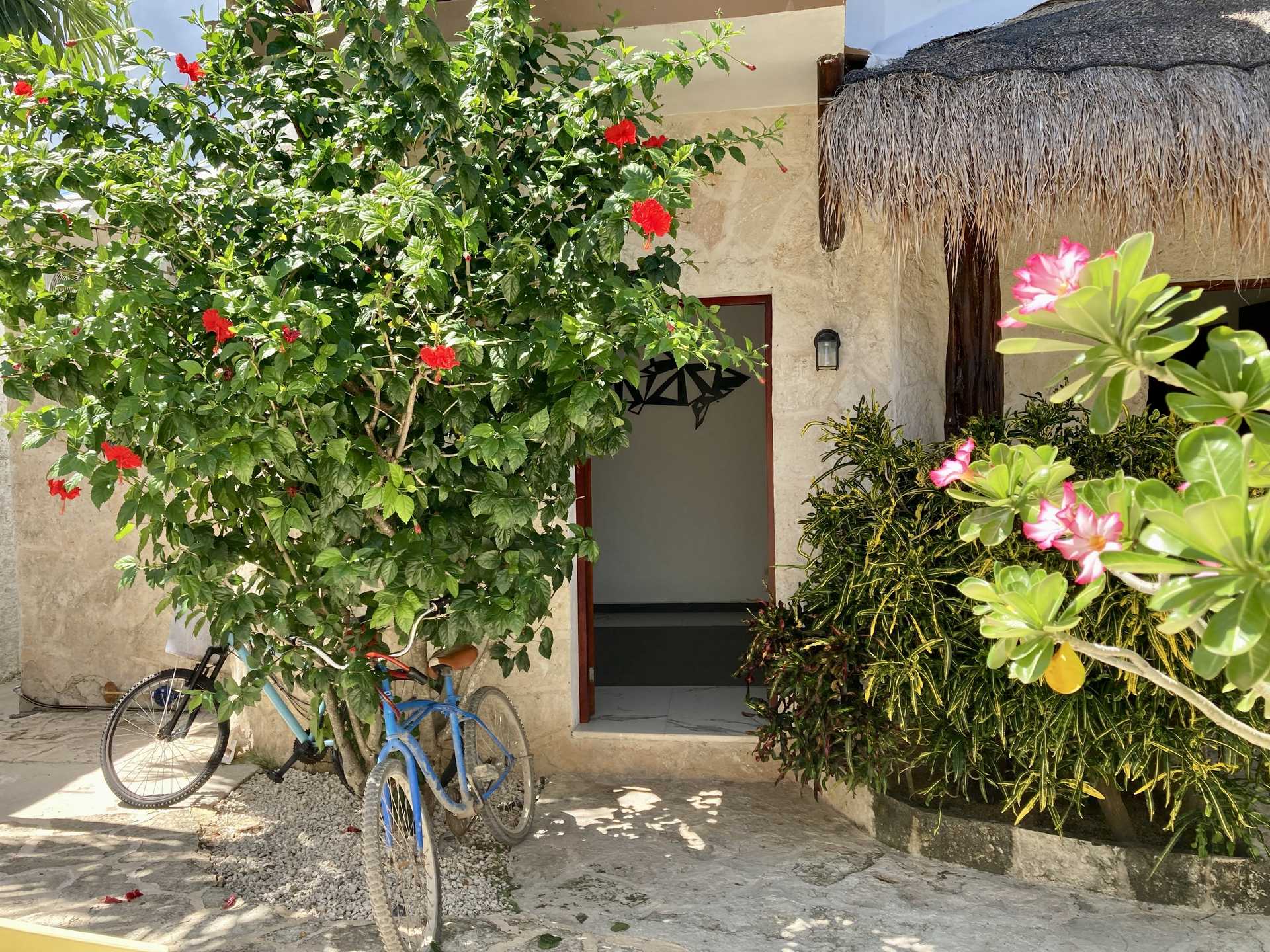 Muu sisään Tulum, Quintana Roo 12100244