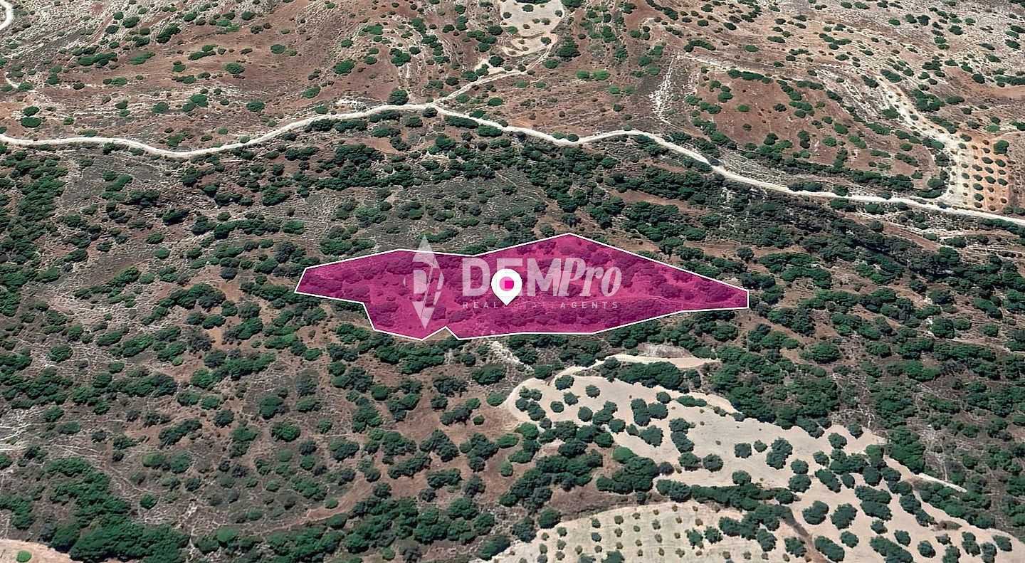 Land im Mesa Chorio, Pafos 12101652