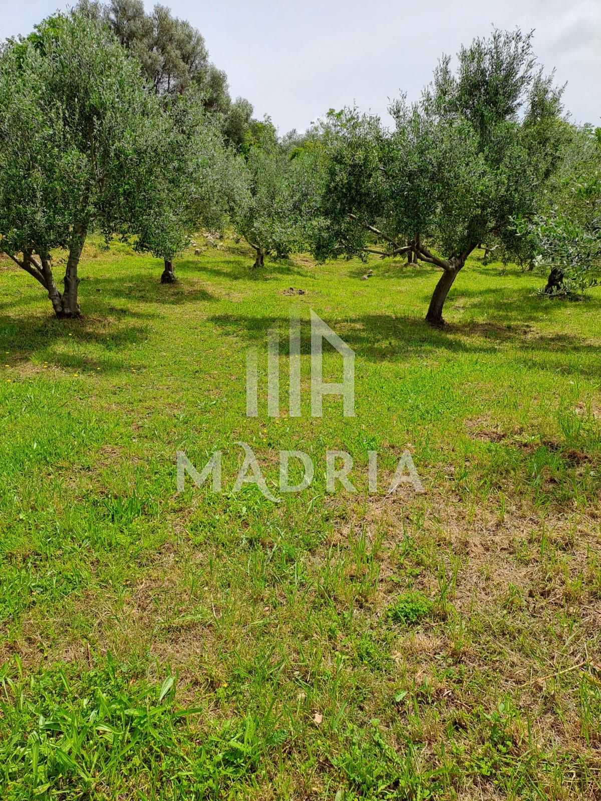 Tanah di Radovin, Zadar County 12105323