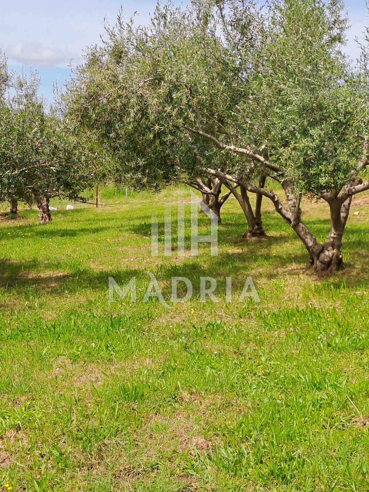Land in Radovin, Zadar County 12105323