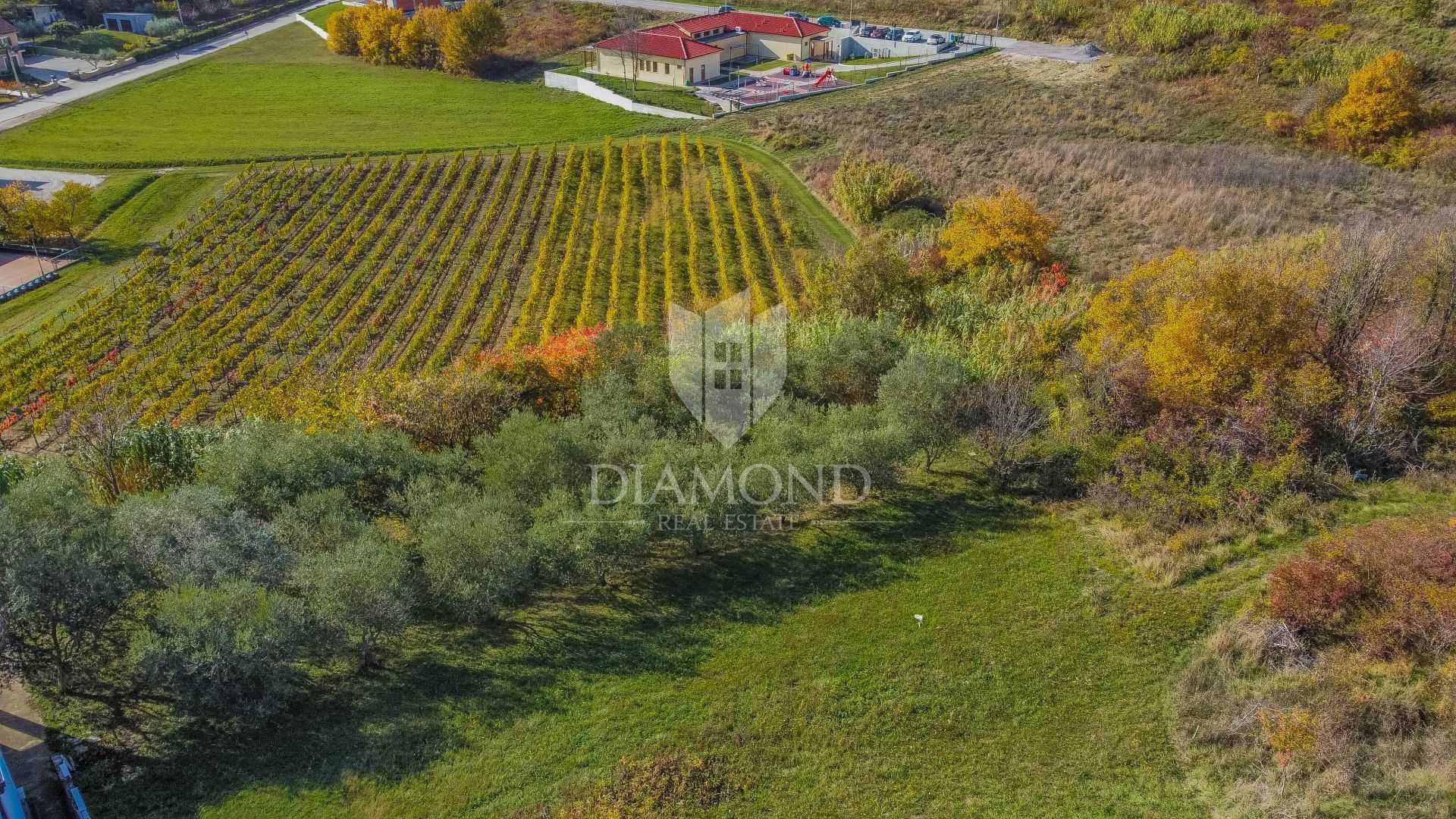 Land in Vižinada, Istria County 12108297
