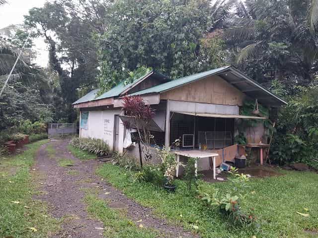 Jälleenmyynti sisään Bulusan, Bicol 12114110
