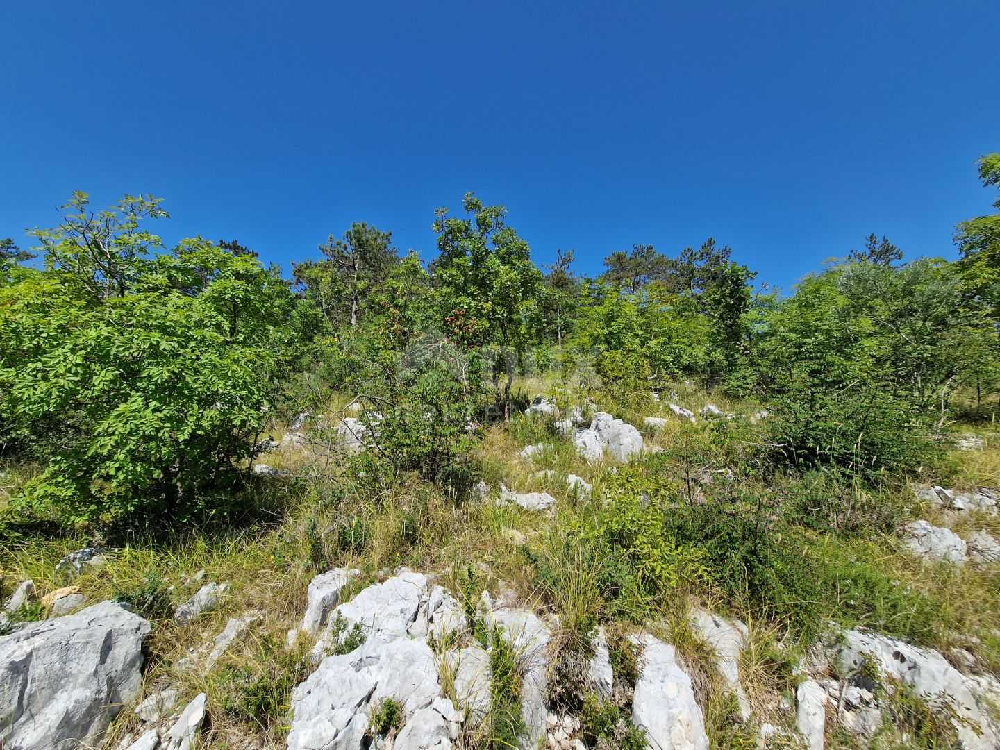 Земельные участки в Buzet, Istria County 12117604