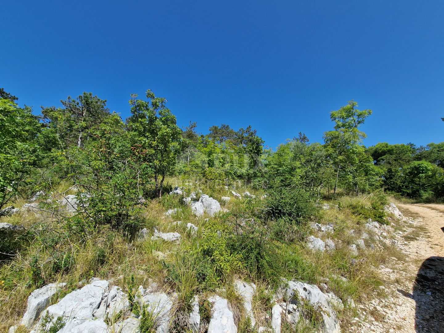 Land in Buzet, Istarska Zupanija 12117604