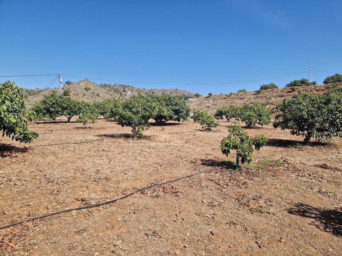 Land in Alhaurin el Grande, Andalusia 12118974