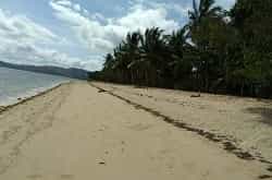 Land in Busuanga, Palawan 12122454