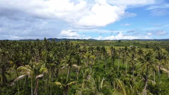 Land im General Luna, Surigao del Norte 12123042