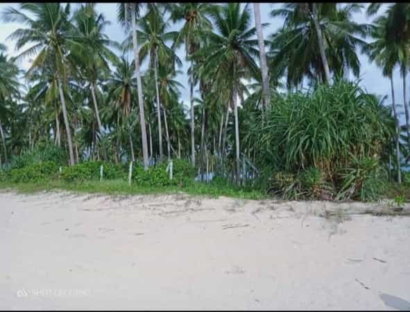 Land in San Vicente, Palawan 12123223