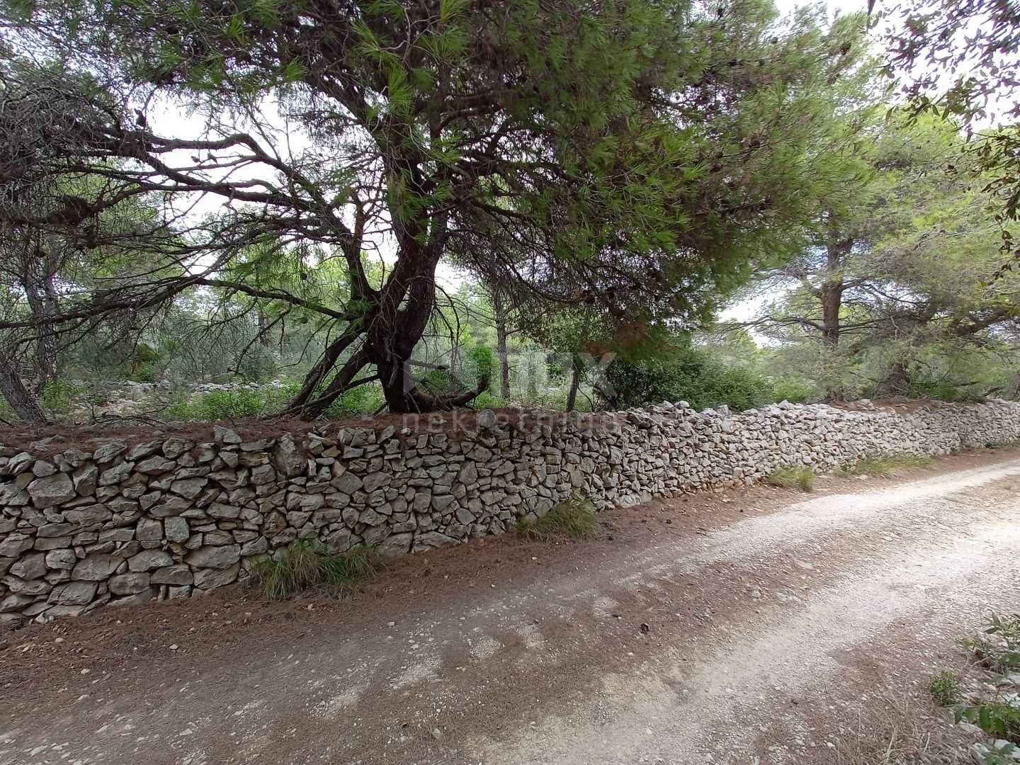 Tanah dalam Kukljica, Zadarska Zupanija 12134438